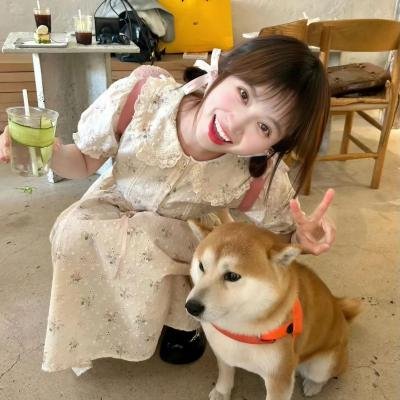 史酷比与精灵国王