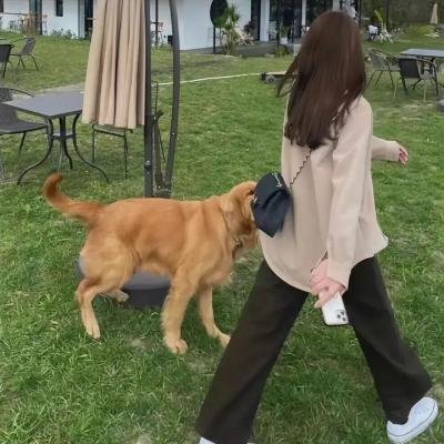 小猪佩奇第一季